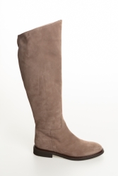 rosa10